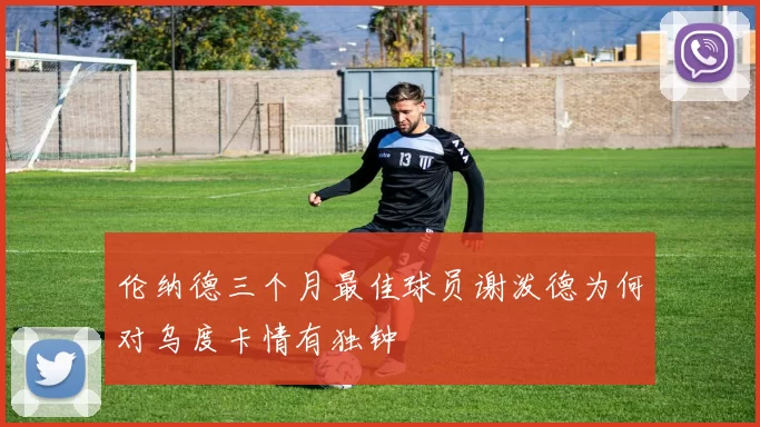 伦纳德三个月最佳球员谢泼德为何对乌度卡情有独钟