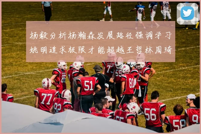 杨毅分析杨瀚森发展路径强调学习姚明追求极限才能超越王哲林周琦状态