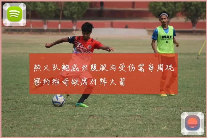 热火队鲍威尔腹股沟受伤需每周观察约维奇缺席对阵火箭